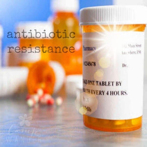 Stop Antibiotic Resistance, Hug Your Oregano Oil