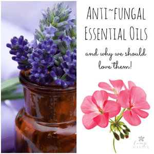 13 Anti-Fungal Necessities