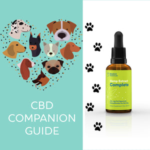 The CBD Canine Companion Guide