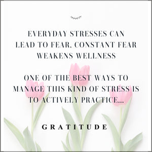 Tone Your Vagus Nerve with Gratitude