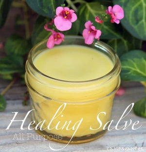 10 Ways to Use All Purpose Healing Salve & Recipe