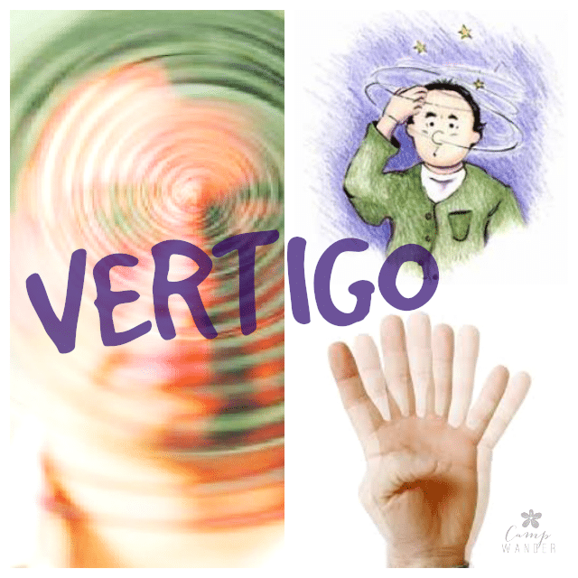Vertigo Go Round