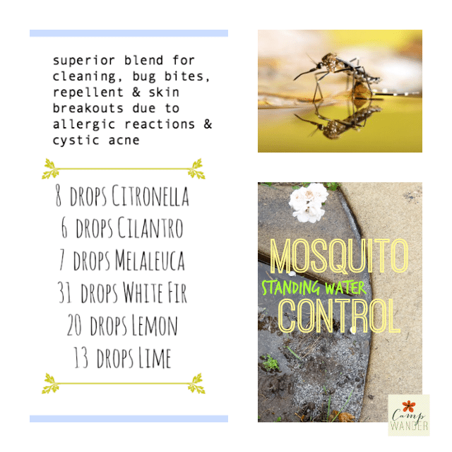 Mosquito Control with DIY Purify