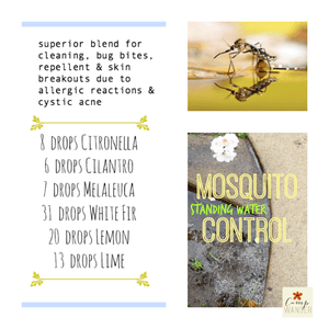Mosquito Control with DIY Purify