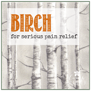 Pain Relief Remedies with Birch