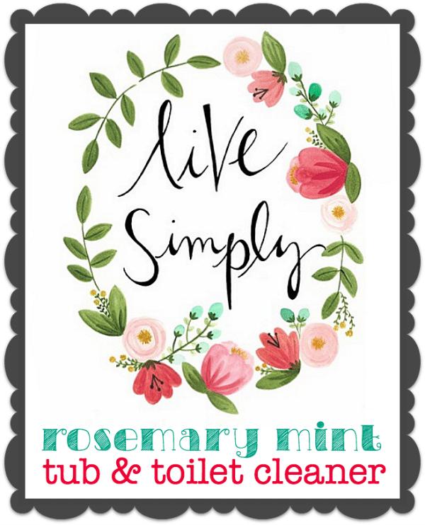 Antimicrobial Soap Scum Buster!