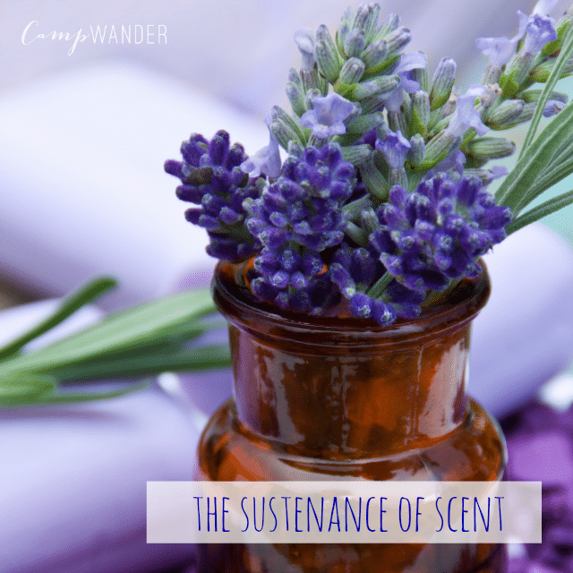 The Sustenance of Scent