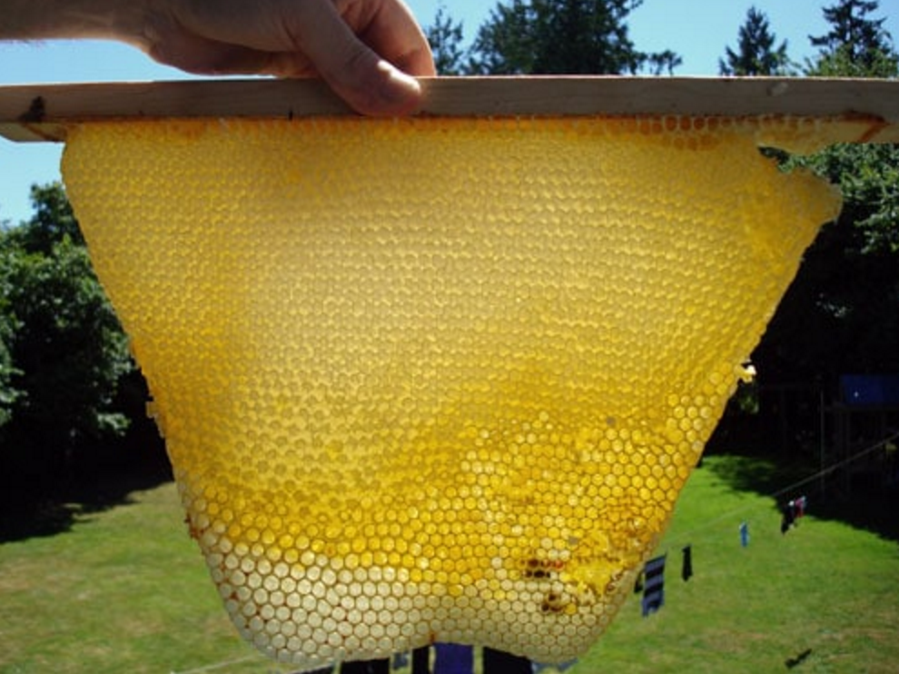 Beekeeping with Essential Oils