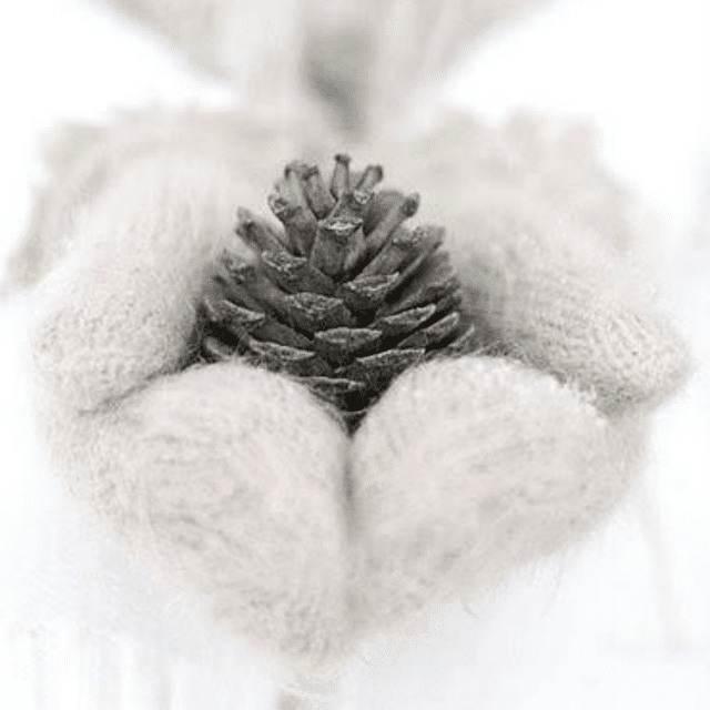 Cold Weather Pain Relief Blend