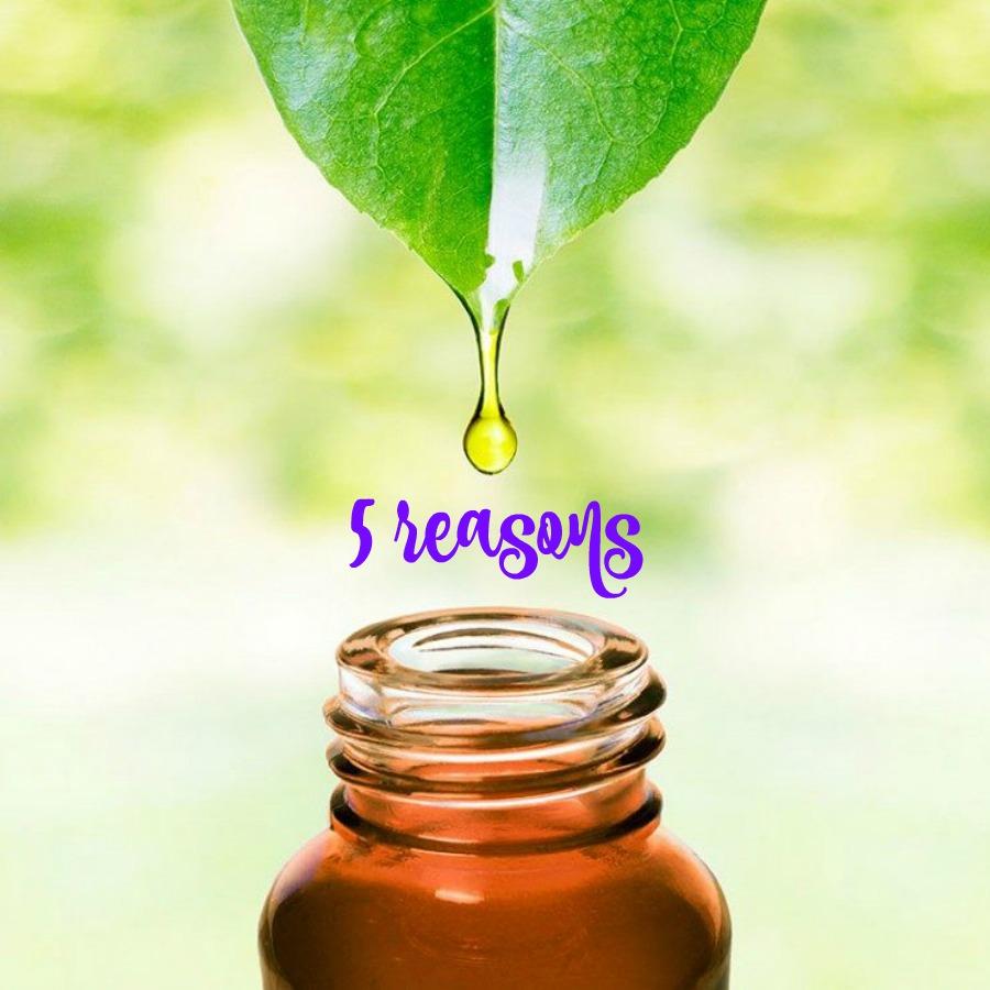 5 Reasons to Start Using Essential Oils
