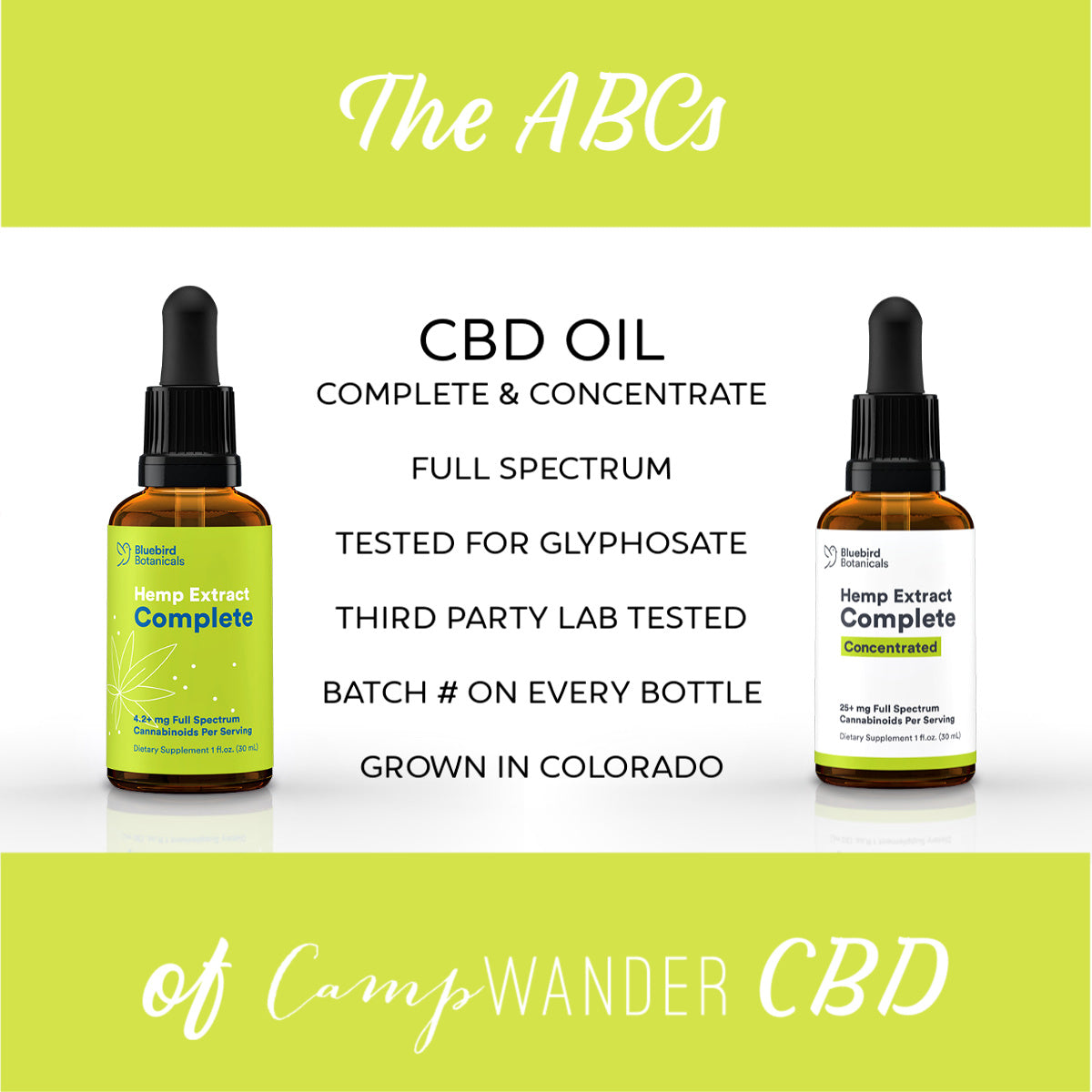 The ABCs of CBD @ Camp Wander