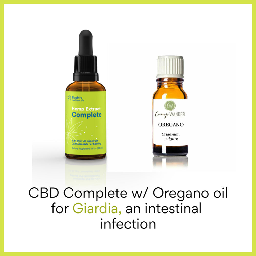 Fast Relief for Giardia the Plant Based Way Camp Wander