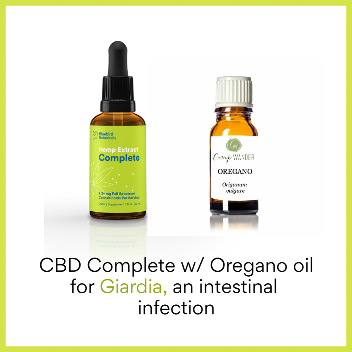 Fast Relief for Giardia the Plant Based Way