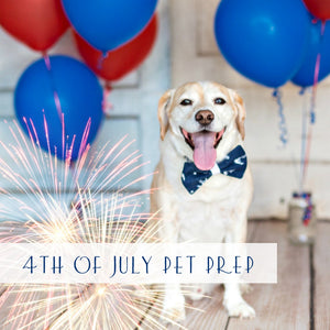 july-fourth-pet-tips