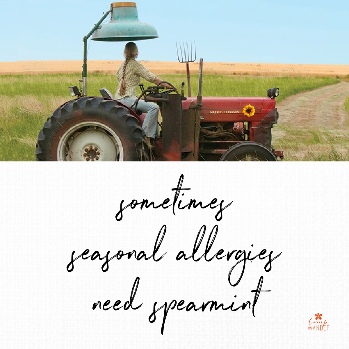 The Spirit of Spearmint Essential Oil