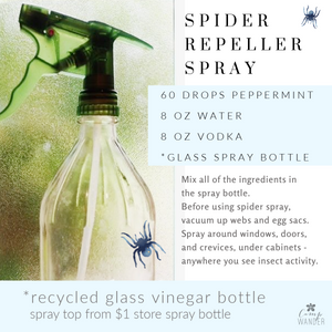 DIY Spider Repeller Spray Make It Today