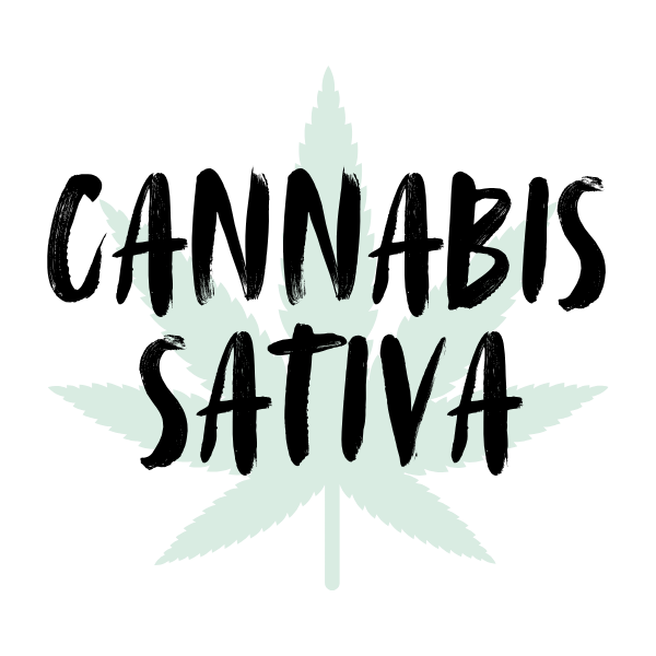 Cannabis Sativa