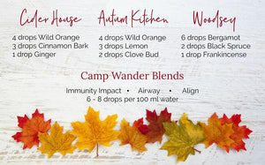 Fall Diffuser Blends