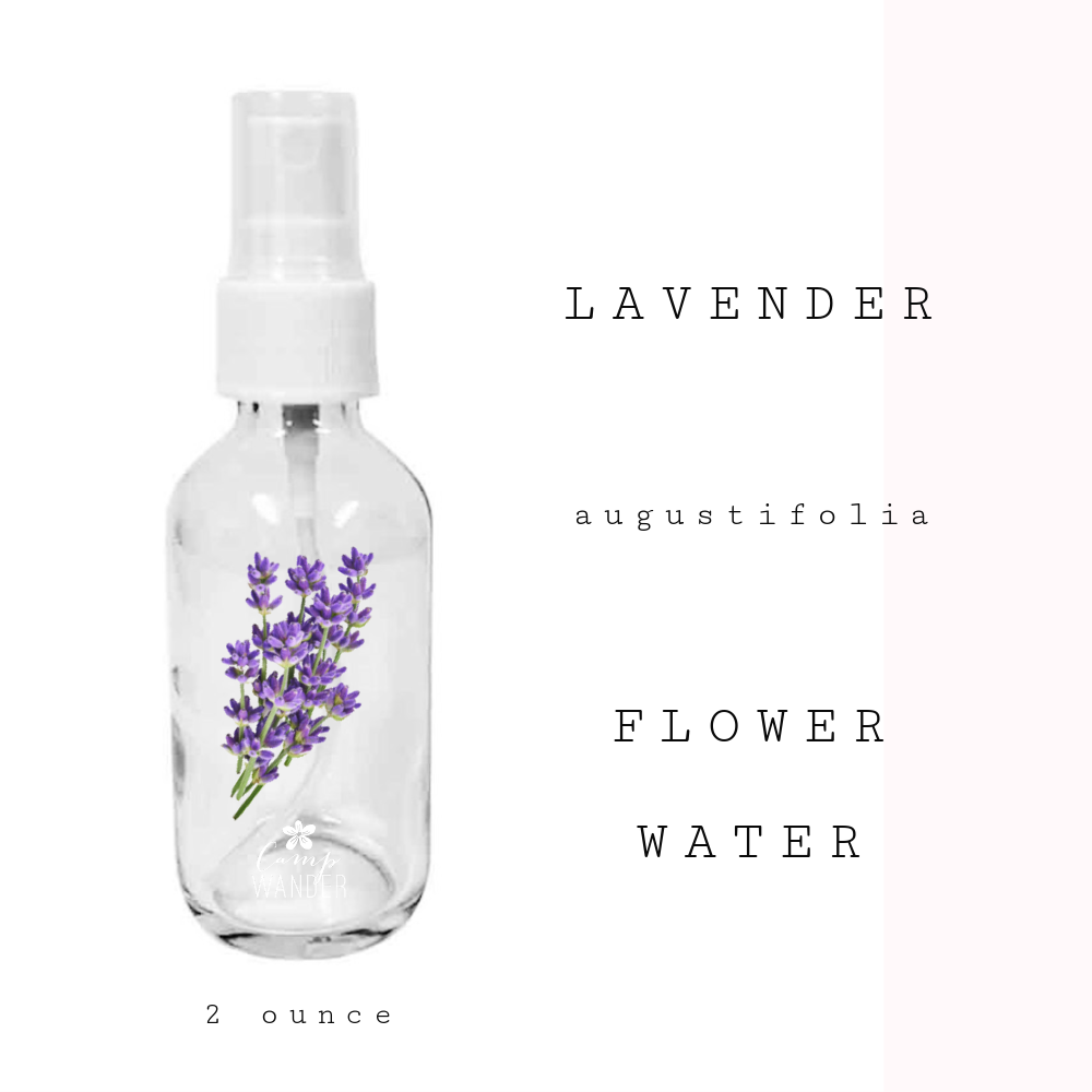 Flower Water Lavender Camp Wander