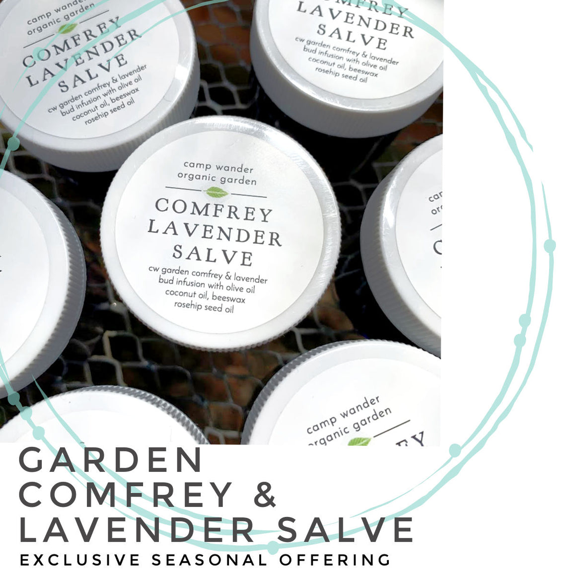 Comfrey Lavender Salve - Garden Exclusive