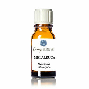 Melaleuca